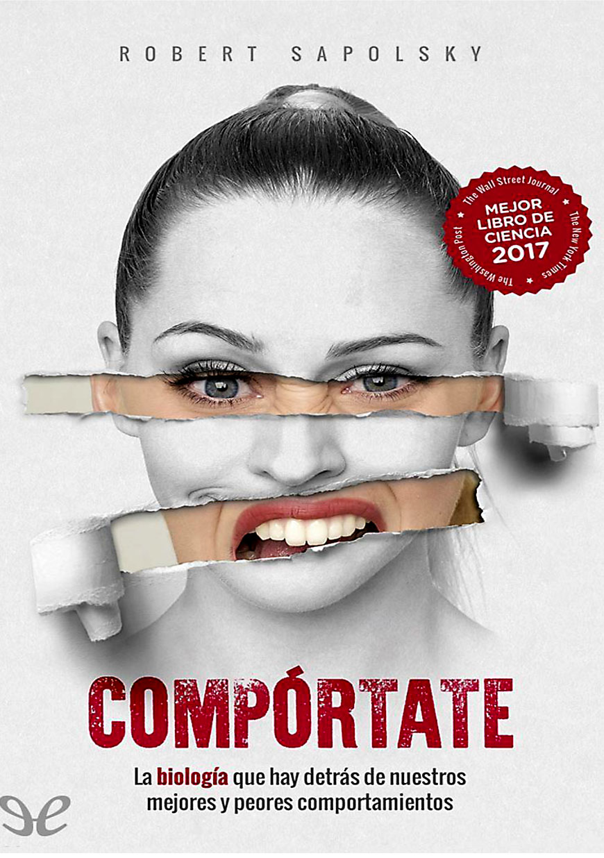 Compórtate